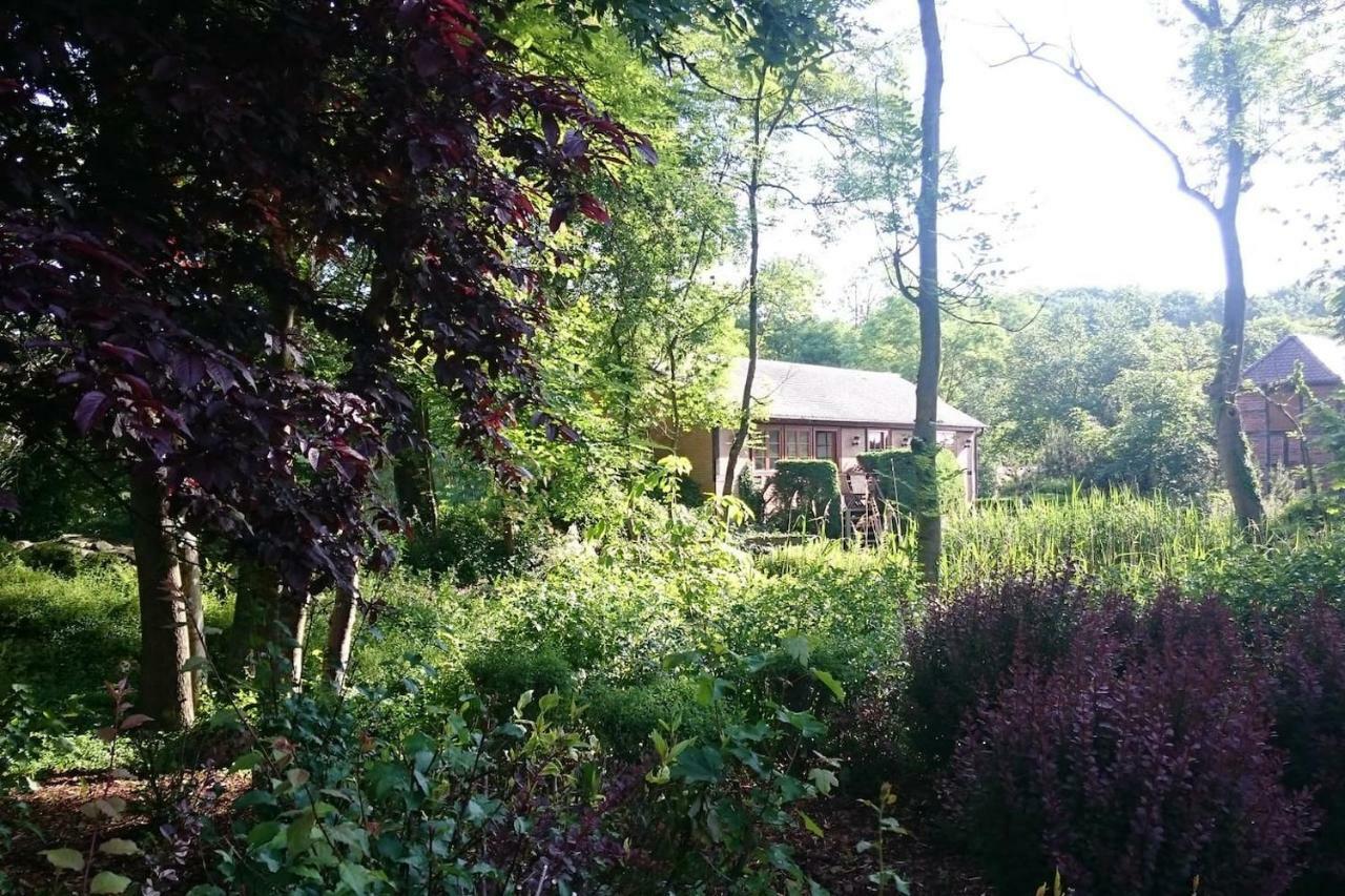 Chalet Forsthof Everstorf 그레베스뮐렌 외부 사진