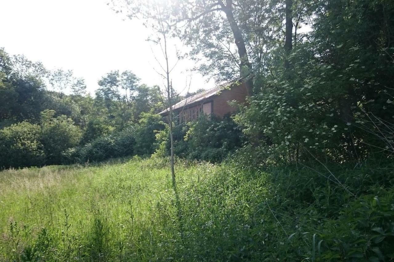 Chalet Forsthof Everstorf 그레베스뮐렌 외부 사진